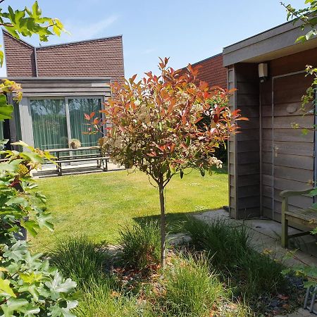 Bonnies Beach & Spa Duinnest Cadzand Exterior photo
